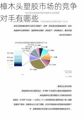 樟木头塑胶市场的竞争对手有哪些