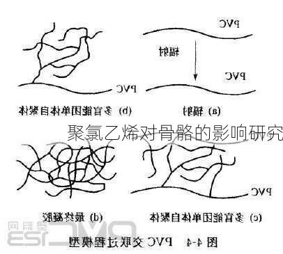 聚氯乙烯对骨骼的影响研究