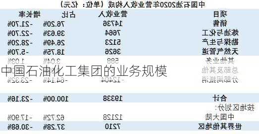 中国石油化工集团的业务规模