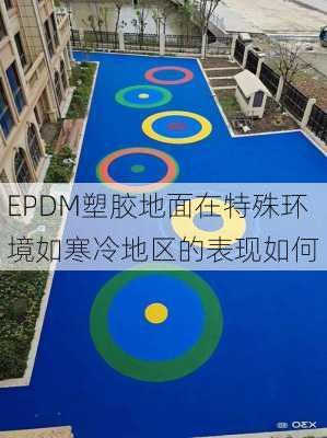 EPDM塑胶地面在特殊环境如寒冷地区的表现如何