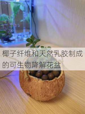 椰子纤维和天然乳胶制成的可生物降解花盆