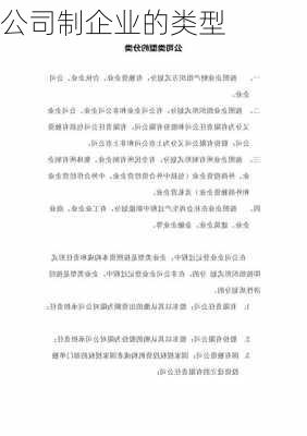 公司制企业的类型