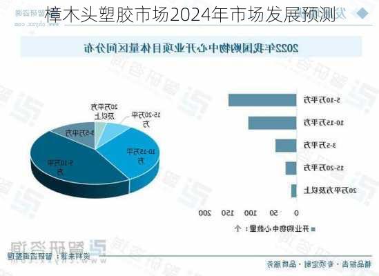 樟木头塑胶市场2024年市场发展预测