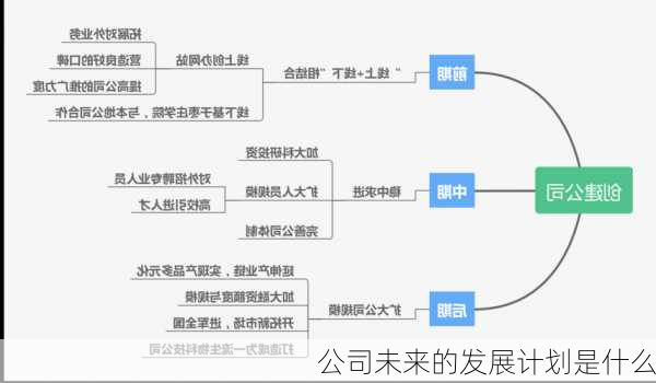 公司未来的发展计划是什么