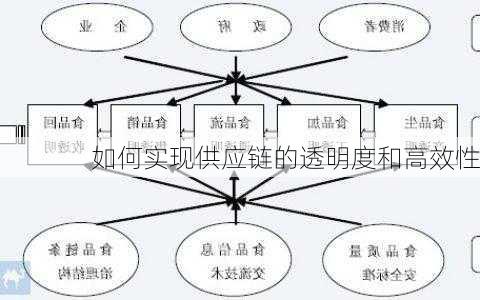 如何实现供应链的透明度和高效性