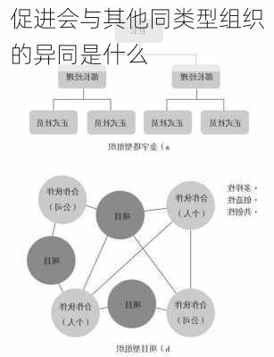 促进会与其他同类型组织的异同是什么