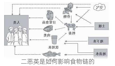 二恶英是如何影响食物链的