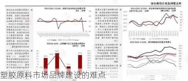 塑胶原料市场品牌建设的难点