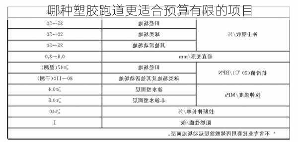 哪种塑胶跑道更适合预算有限的项目