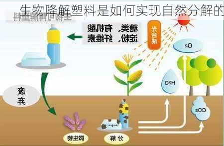 生物降解塑料是如何实现自然分解的