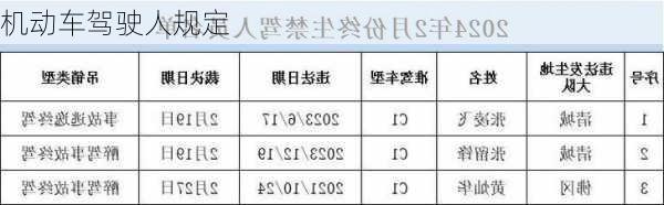 机动车驾驶人规定