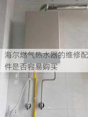 海尔燃气热水器的维修配件是否容易购买