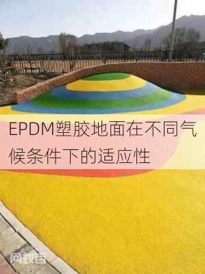 EPDM塑胶地面在不同气候条件下的适应性