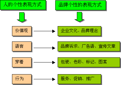 如何打造独特的品牌形象以吸引消费者