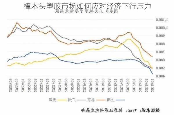 樟木头塑胶市场如何应对经济下行压力