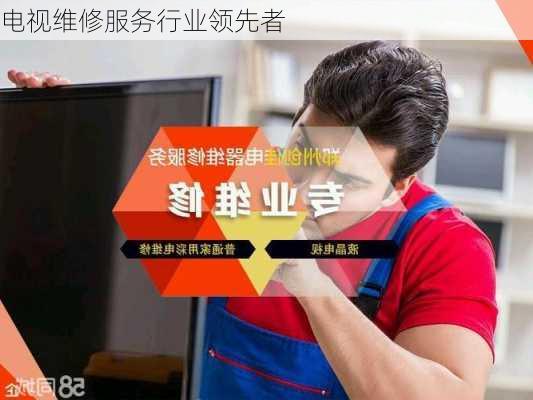 电视维修服务行业领先者