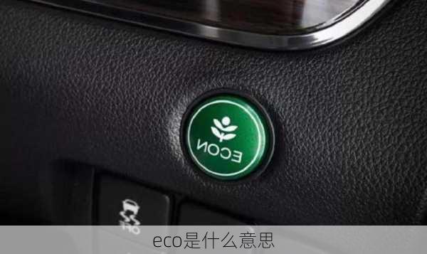 eco是什么意思