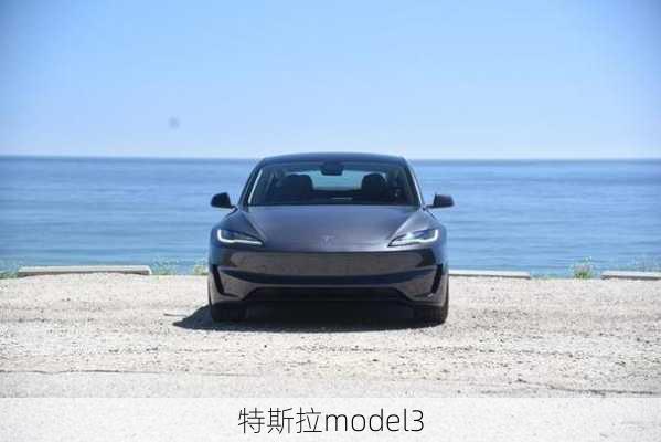 特斯拉model3