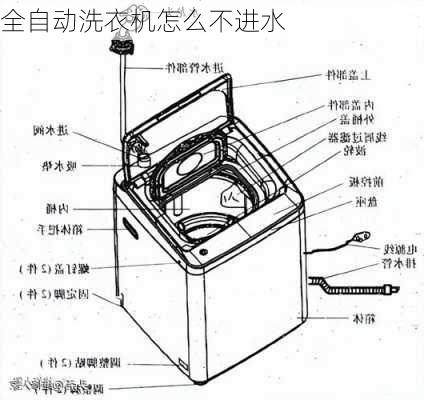 全自动洗衣机怎么不进水