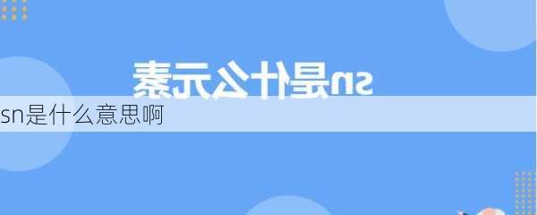 sn是什么意思啊