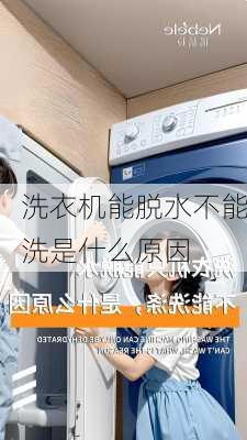 洗衣机能脱水不能洗是什么原因