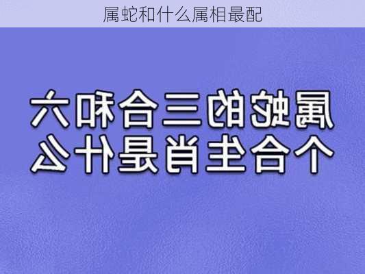 属蛇和什么属相最配