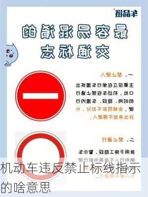 机动车违反禁止标线指示的啥意思