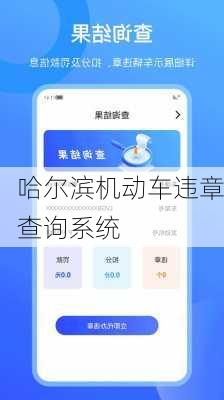 哈尔滨机动车违章查询系统