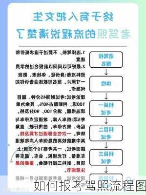 如何报考驾照流程图