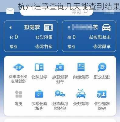 杭州违章查询几天能查到结果