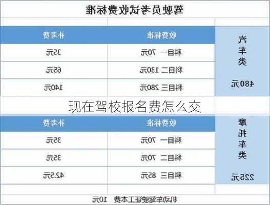 现在驾校报名费怎么交