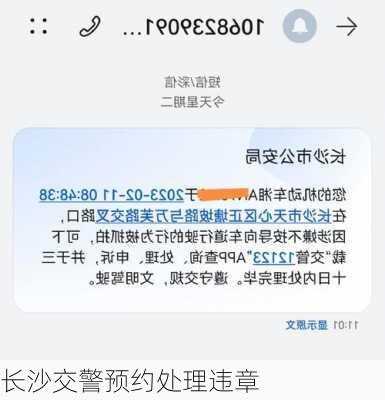 长沙交警预约处理违章