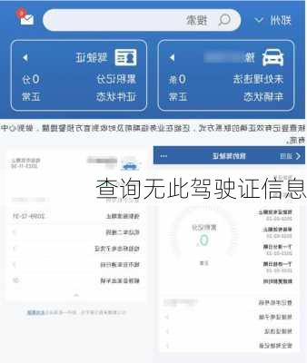 查询无此驾驶证信息