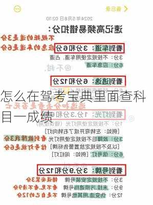 怎么在驾考宝典里面查科目一成绩