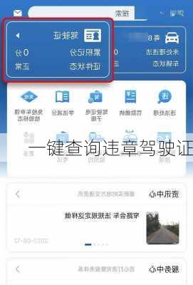 一键查询违章驾驶证