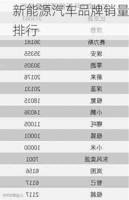 新能源汽车品牌销量排行