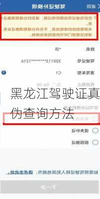 黑龙江驾驶证真伪查询方法