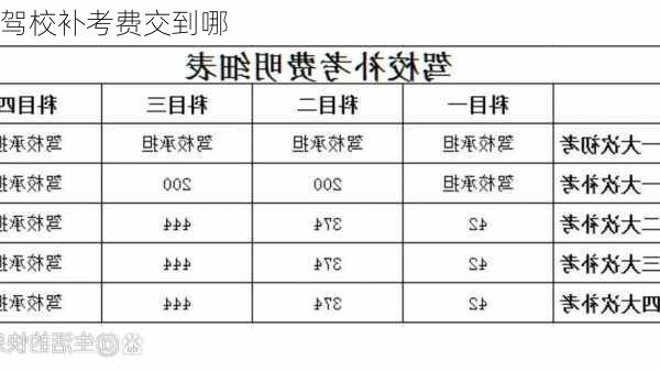 驾校补考费交到哪