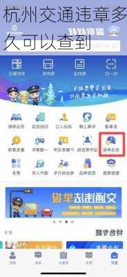 杭州交通违章多久可以查到