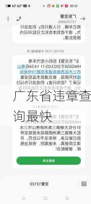 广东省违章查询最快