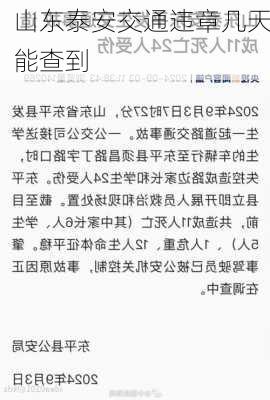 山东泰安交通违章几天能查到