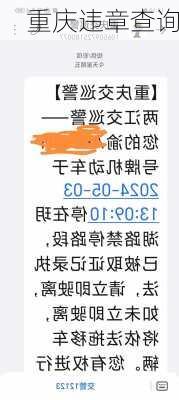 重庆违章查询