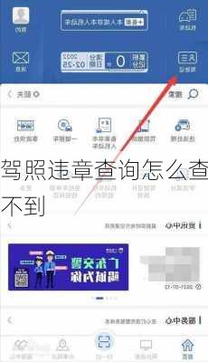 驾照违章查询怎么查不到