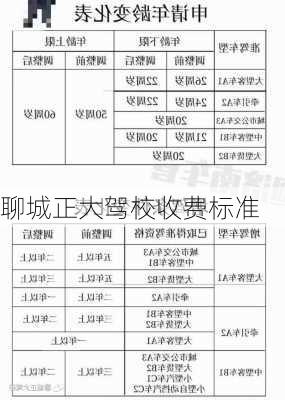 聊城正大驾校收费标准