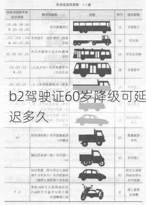 b2驾驶证60岁降级可延迟多久