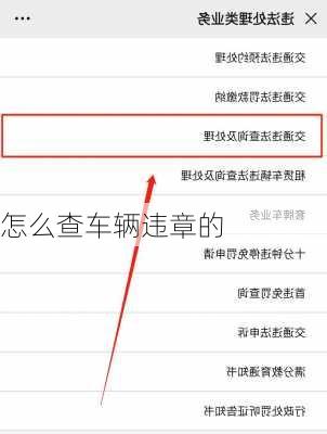 怎么查车辆违章的
