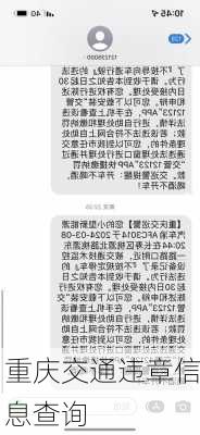 重庆交通违章信息查询