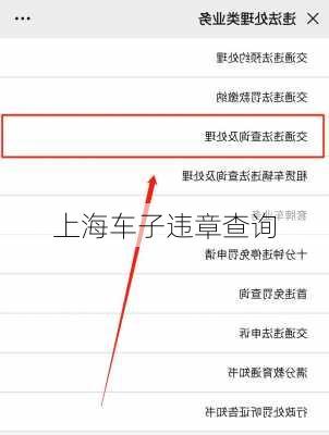 上海车子违章查询