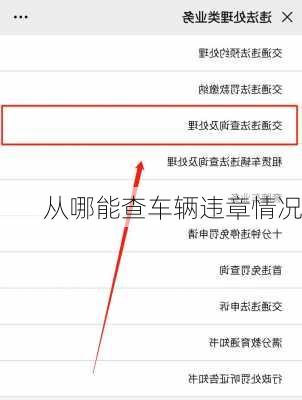 从哪能查车辆违章情况