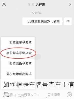 如何根据车牌号查车主信息